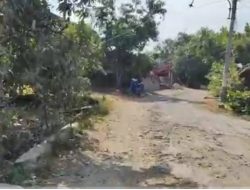 Dinas PMD Blora Dorong Pembuatan SK Jalan Desa untuk Percepatan Pembangunan