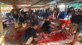 Pelaksanaan pemotongan hewan kurban Masjid Moetiah.