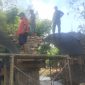 Foto istimewa.